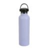 24 fl oz Purple Insulated Stainless Steel Water Bottle, Twist Cap
